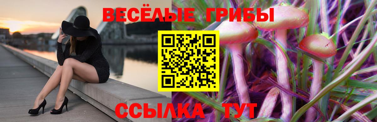 Псилоцибиновые грибы Psilocybine cubensis  Вход с VPN  Саранск 