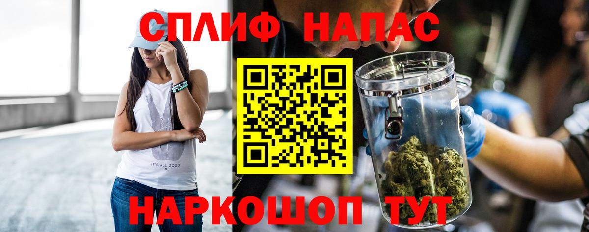 Бошки марихуана сатива Саранск