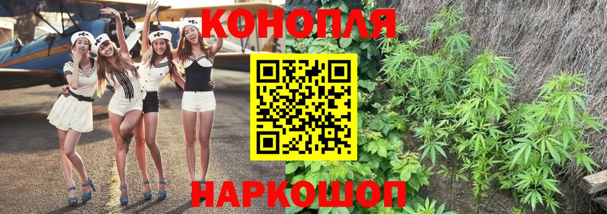 Галлюциногенные грибы Саранск